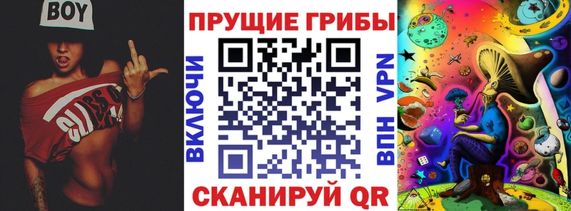 купить наркоту  Таштагол  Галлюциногенные грибы GOLDEN TEACHER 